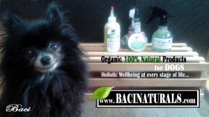  BaciNaturals Natural Dog Products 