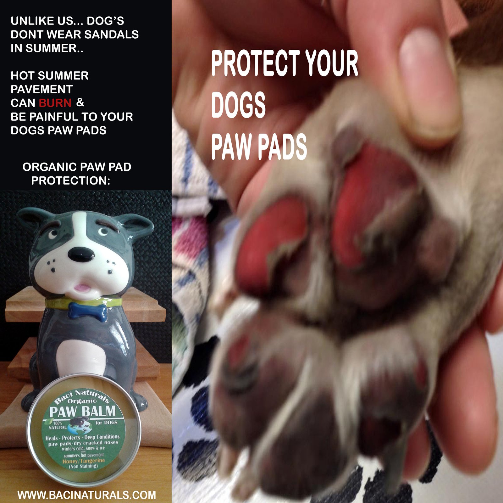 Summer Paw Pad Protection